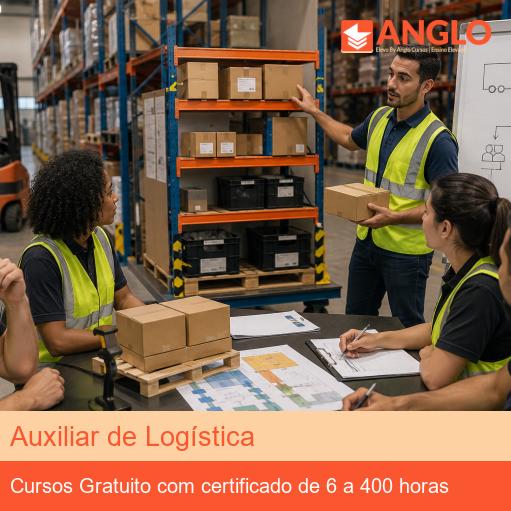 Auxiliar de Logística